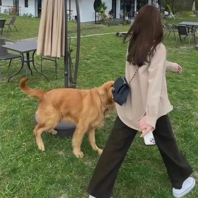 汉娜